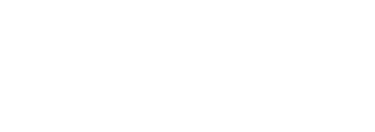 Medlem af Danske Revisorer